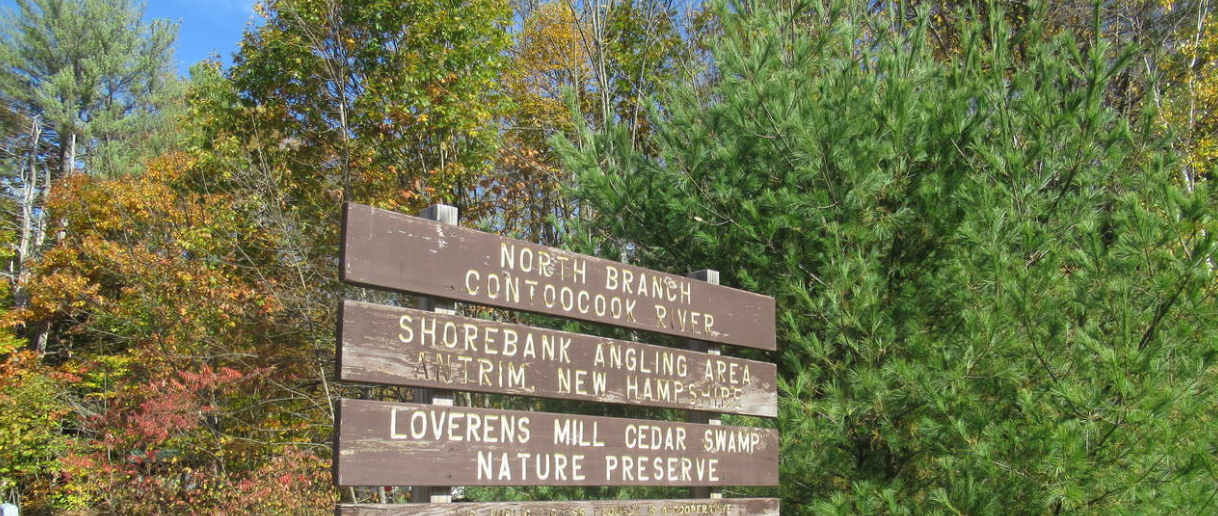 Loverens: A Comprehensive Guide to Understanding Its Meaning