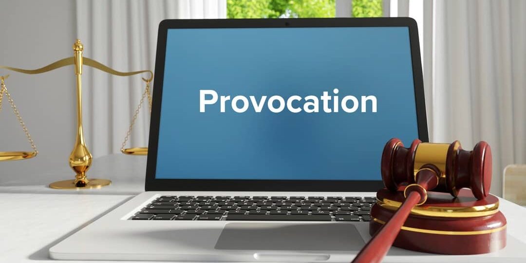 Understanding Provocation: More Than Just Words
