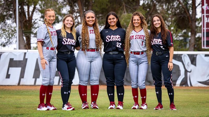 Navigating the Softball Transfer Portal 2025: A Complete Guide