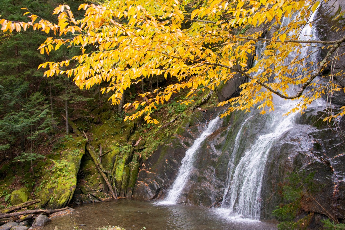Your Complete Guide to Warren Waterfalls Vermont