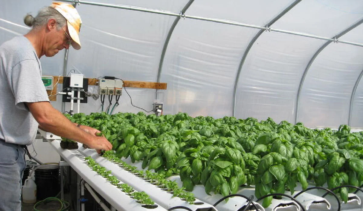 MyGreenBucks Kenneth Jones: An In-Depth Look